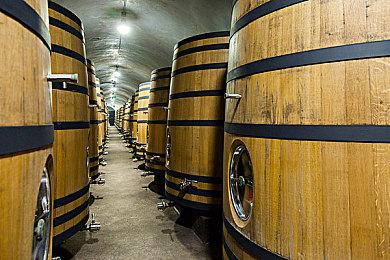 《塞尔达传说：智慧的再现》开发工作室情报公布